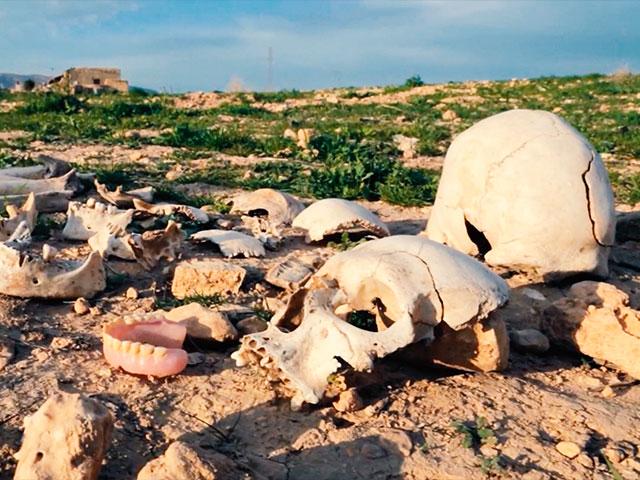 genocide human skulls