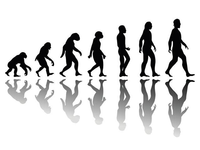 Does the Bible Teach Evolution? | CBN.com