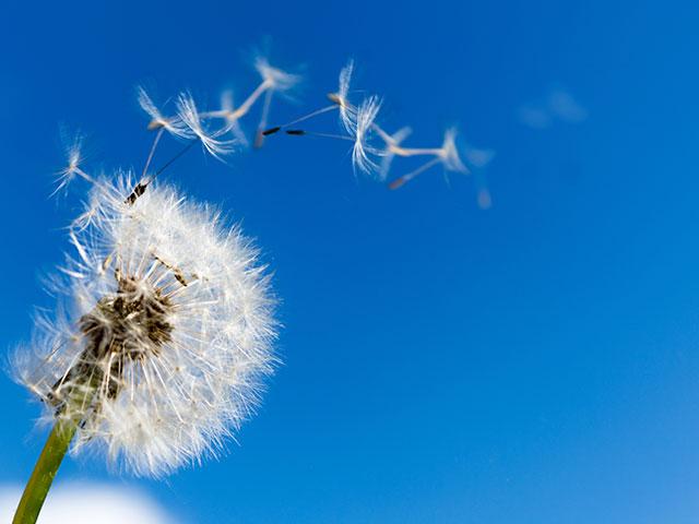 Can You See the Wind?