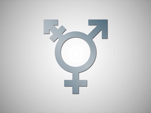 Judge Recognizes New Gender For Non Binary Humans Cbn News