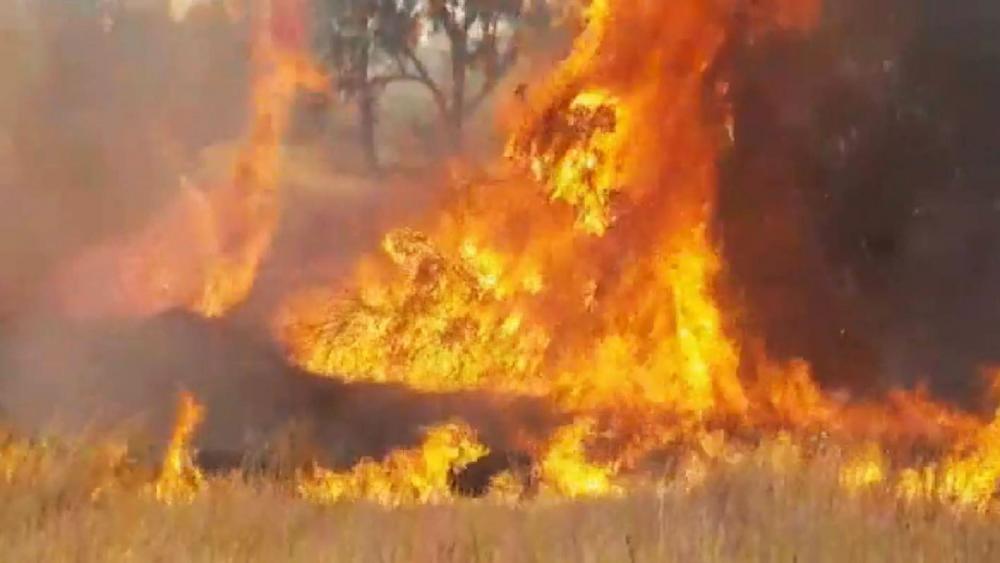 'Terror Kites' Causing Massive Fires in Southern Israel, Photo, Screen Capture, JNF