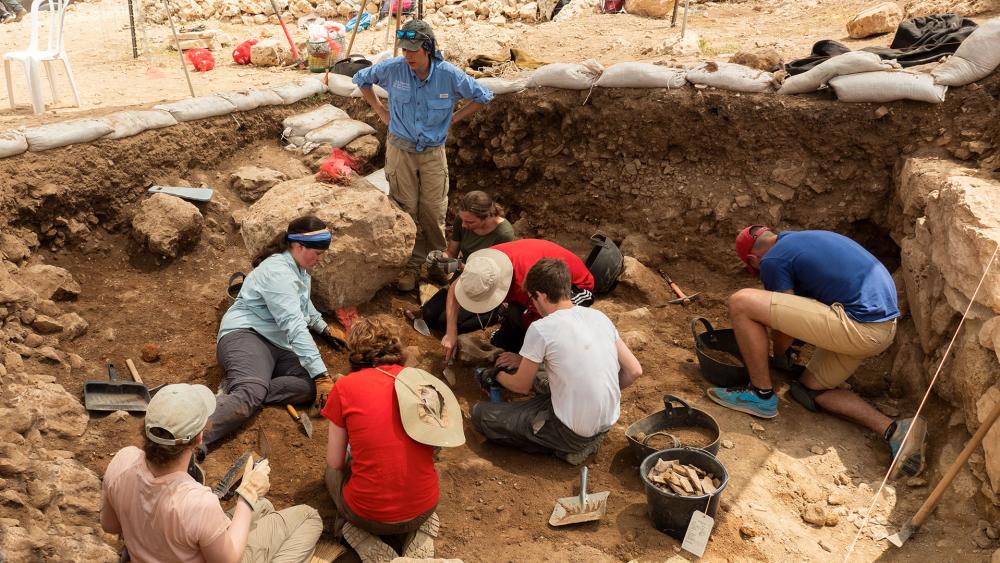 Excavating at Tel Shilo, Photo, CBN News, Jonathan Goff