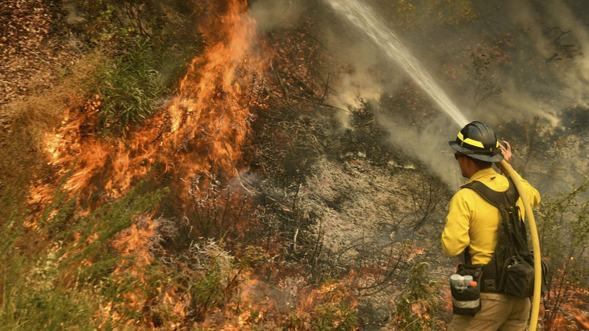 Widespread Arson Taking Place, and It's Suspected in Some of the