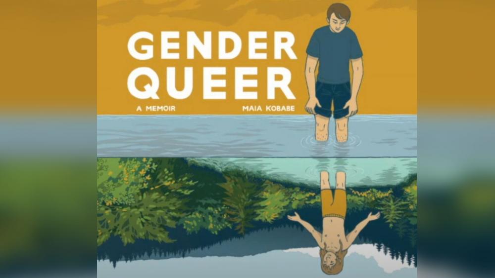 Pervasively Vulgar This School Board Is Removing Gender Queer Book Due To Explicit Content 7312