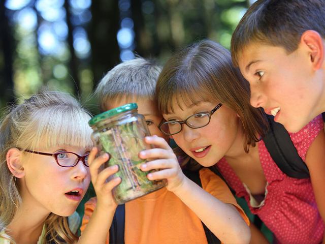 children holding up and looking at insects in a jar with grass