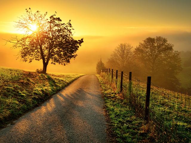 country road with golden sunshine
