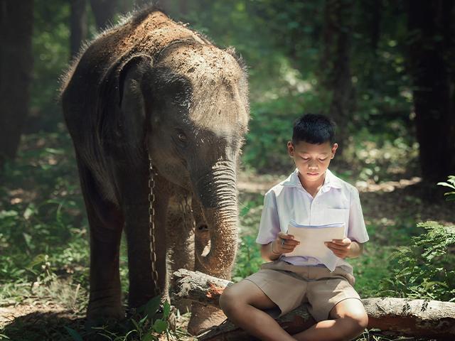 young elephant standing beside boy sitting on a log reading