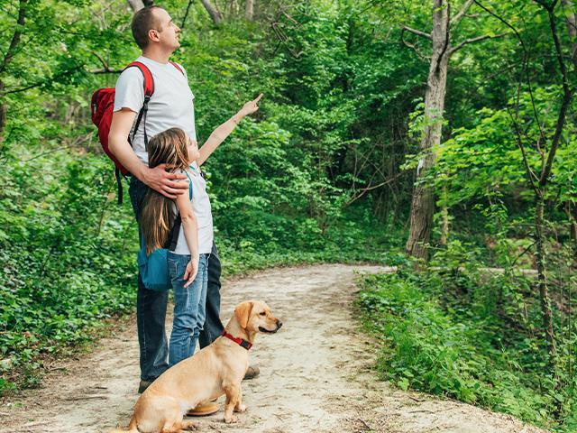 father and daughter in the woods on a walk