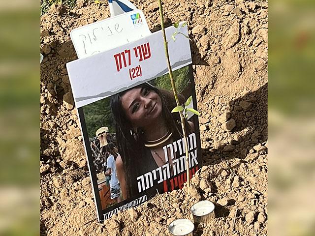 Photo from Nova Music Festival  Memorial Site where KKL-JNF planted trees in memory for the hundreds killed on October 7th. Photo Credit: CBN News.