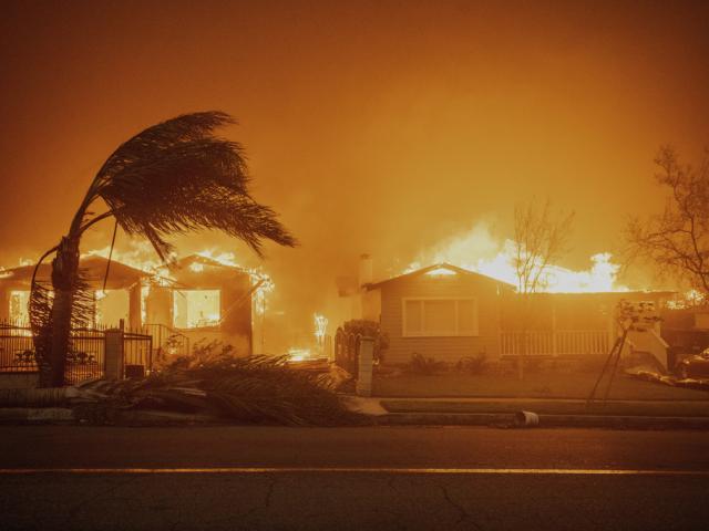 Trees sway in high winds as the Eaton Fire burns structures Wednesday, Jan. 8, 2025 in Altadena, Calif. (AP Photo/Ethan Swope)