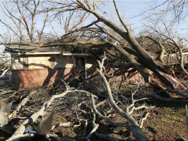 Tornado strewn debris and fallen trees take their toll in this Columbus, Miss., neighborhood, Sunday morning, Feb. 24, 2019. (AP Photo/Rogelio V. Solis)