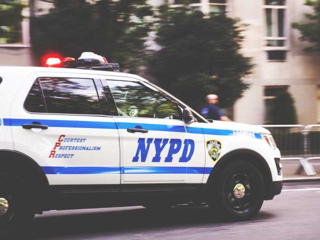 nypd2