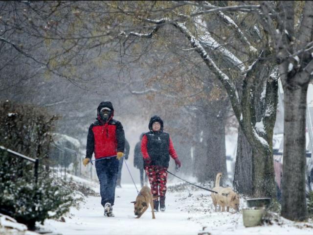 Kevin Britton, left, and his wife Amy Britton take their dogs for a walk through the snow on Sunday, March 3, 2019, in St. Louis, Mo. (Colter Peterson/St. Louis Post-Dispatch via AP)