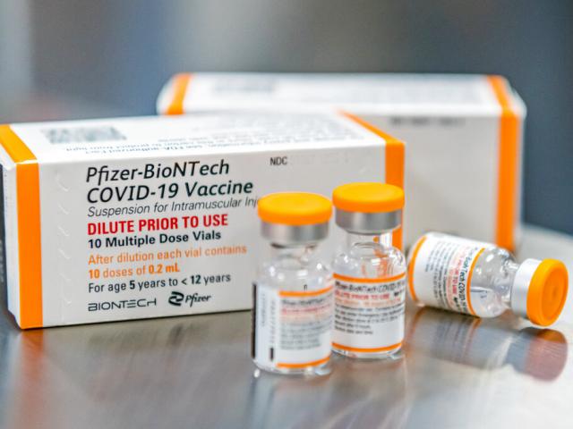 This October 2021, photo provided by Pfizer shows kid-size doses of its COVID-19 vaccine in Puurs, Belgium. (Pfizer via AP, File)