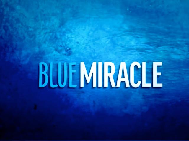 Image Source: YouTube Screenshot/Blue Miracle