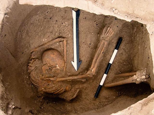 Buried Canaanite, Photo, The Sidon Excavation, Dr. Claude Doumet-Serhal