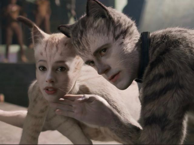 Cats movie two cats