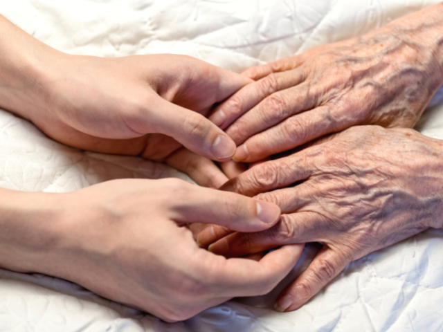 elderly hands and young hands