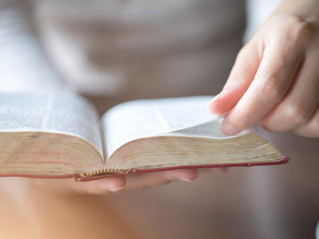 Female hands holding an open Bible