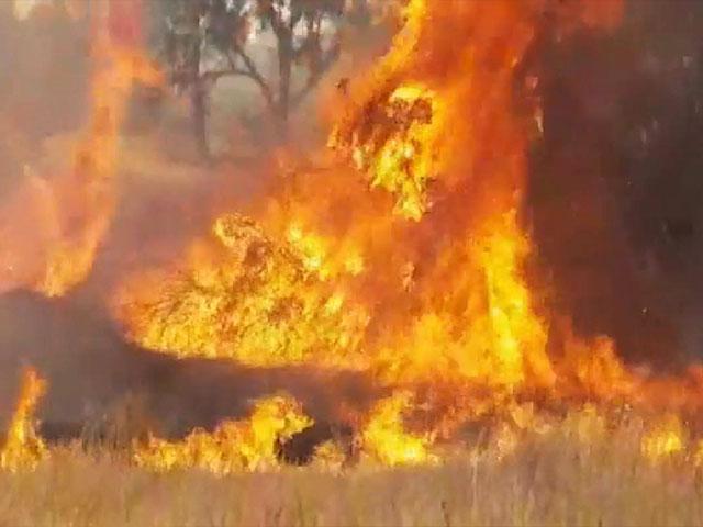 &#039;Terror Kites&#039; Causing Massive Fires in Southern Israel, Photo, Screen Capture, JNF