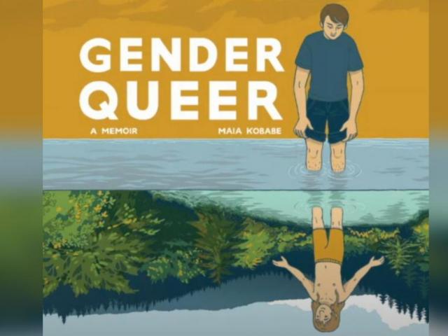 genderqueer_hdv.jpg