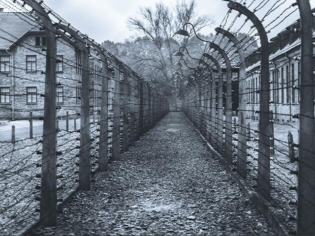 holocaustsurvivor02