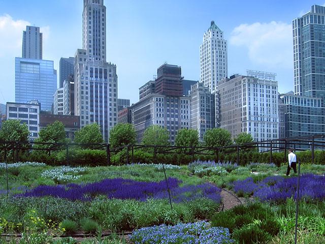Lurie Garden in Millennium Park located in Chicago, Illinois. (Image credit: Adobe Stock)