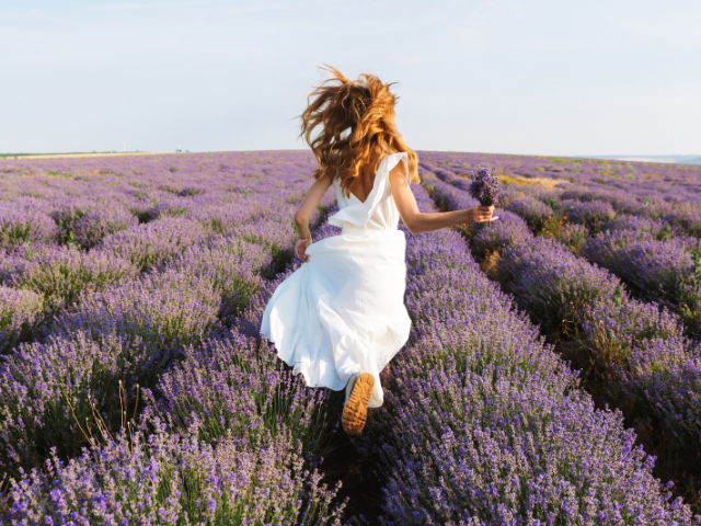 running in a field of lavender