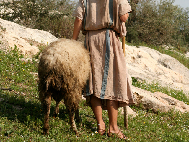 shepherd on a hillside