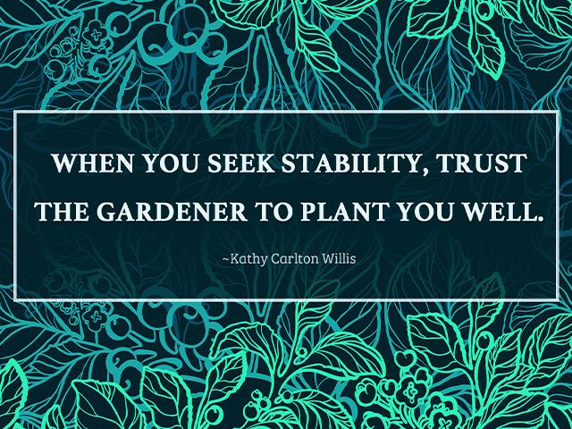 When you seek stability, trust the gardener to plant you well. ~Kathy Carlton Willis