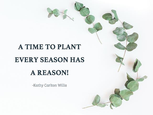 A time to plant - Every Season has a reason! ~Kathy Carlton Willis