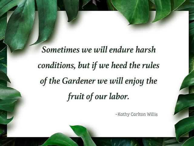 Sometimes we will endure harsh conditions, but we will enjoy the fruit of our labor.