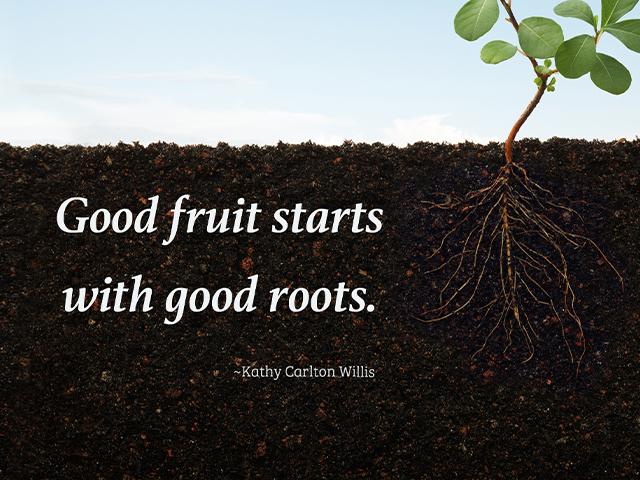Good fruit starts with good roots. ~Kathy Carlton Willis
