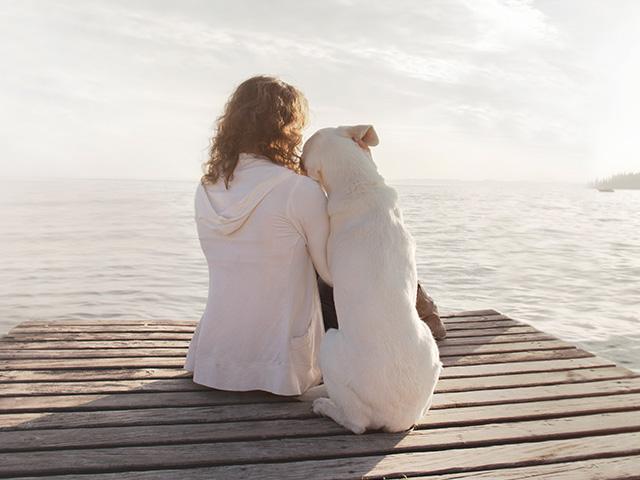 woman and large white dog sitting on pier
