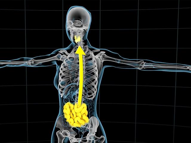 Leaky Gut Got You Down? How to Reverse Autoimmune Disease | CBN News