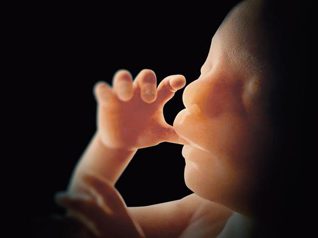 Do Unborn Babies Have Legal Rights