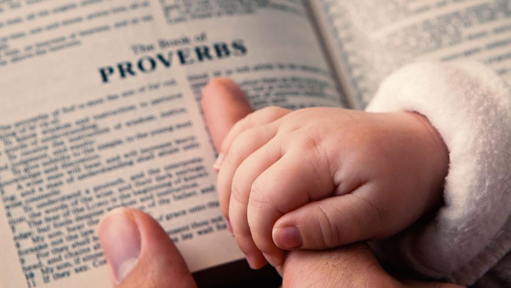 babyhandproverbsbibleas