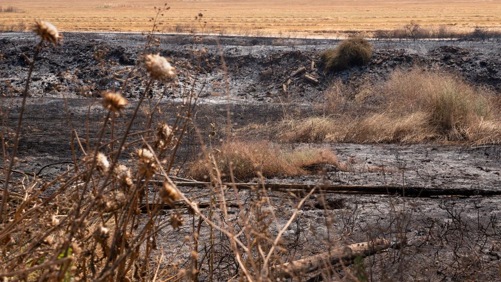 Scorched Field in Southern Israel, Photo, CBN News, Jonathan Goff