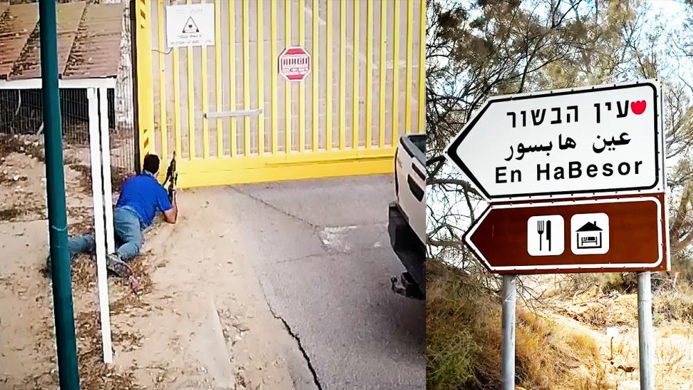 Resiliency in Ein Habesor, Israel.