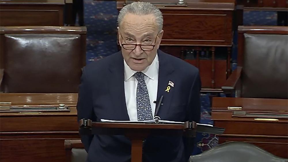 In this image from video provided by Senate TV, Senate Majority Leader Chuck Schumer, D-N.Y., speaks on the Senate floor at the Capitol in Washington, March 14, 2024. (Senate TV via AP)