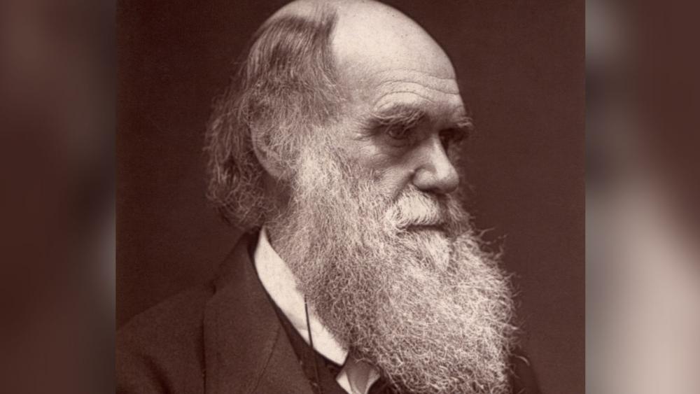 Charles Darwin. (Image credit: Wikimedia Commons) 