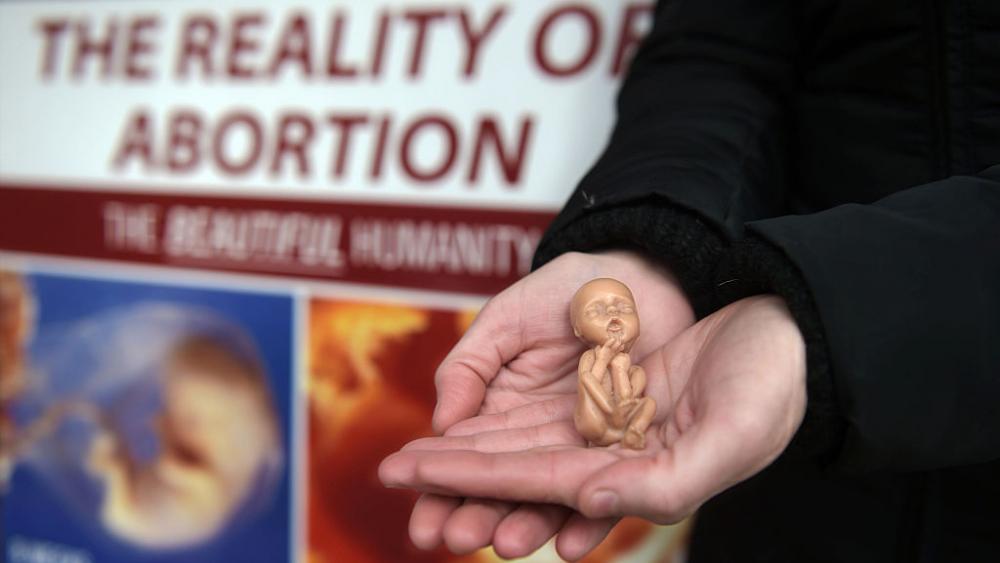 Disminuye Significativamente Los Abortos En Los Estados Unido Desde Roe ...