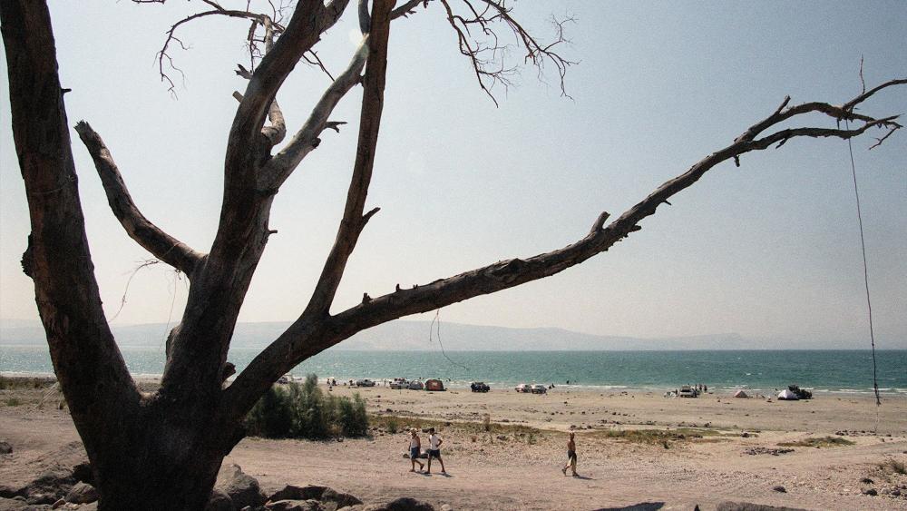 Kinneret (Sea of Galilee) Shore, Photo Courtesy GPO, Moshe Milner