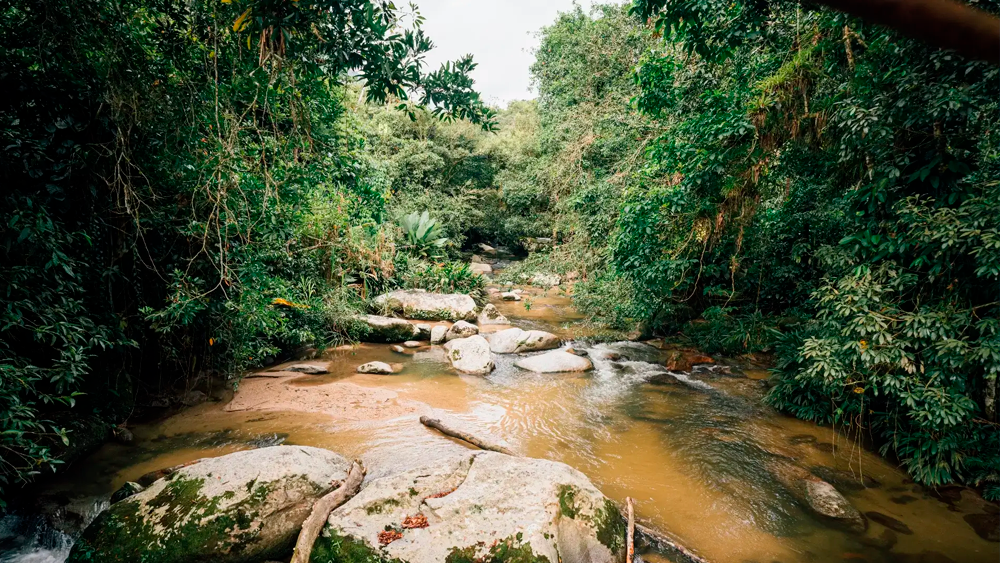 Los ríos alrededor de la iglesia son medios de circulación de droga en Colombia