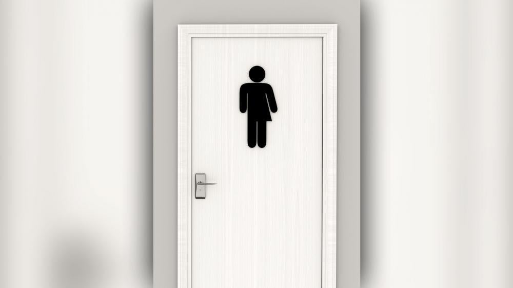 transgenderbathroom2as_hdv.jpg