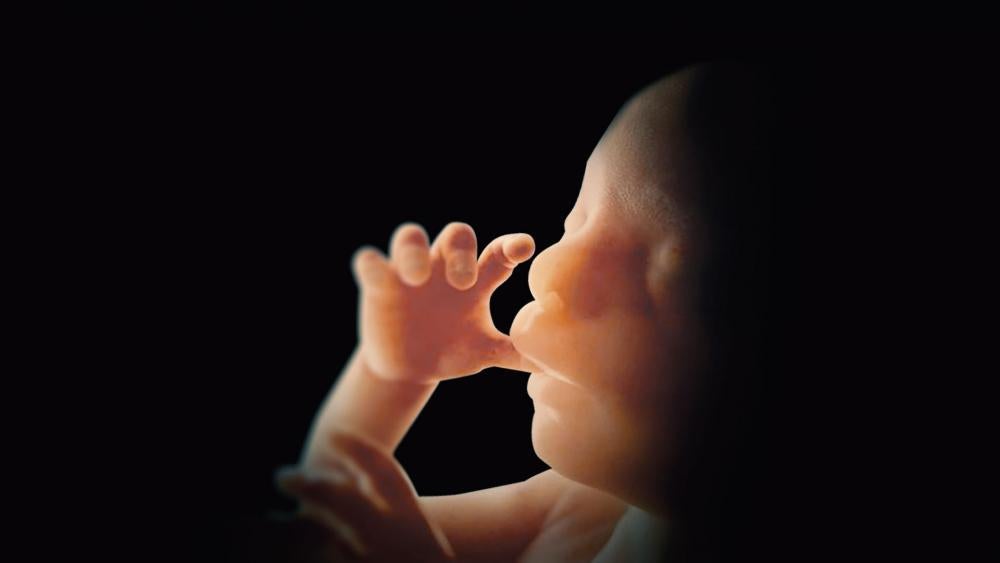 Glory be to God: 455 Unborn Babies Saved from Abortion During “40 Days for Life” Spring Campaign