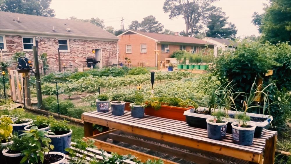 Urban Homesteading Self Sufficient Living In The City CBN News   Urbanhomesteaders Hdv 