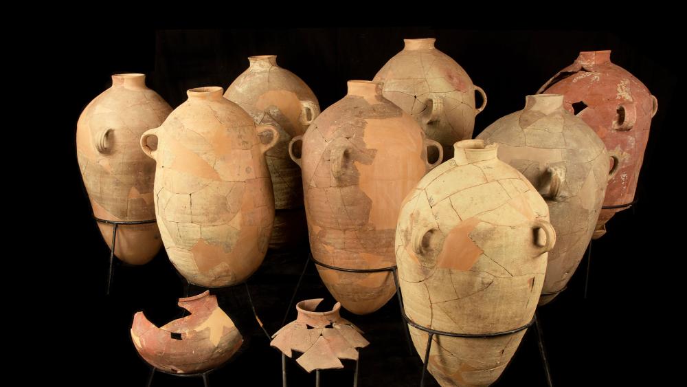 Collection of wine jars after the restoration process. Photo: Dafna Gazit, Israel Antiquities Authority