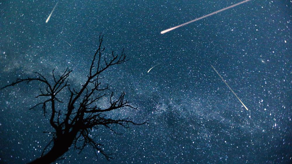 shooting stars meteor shower