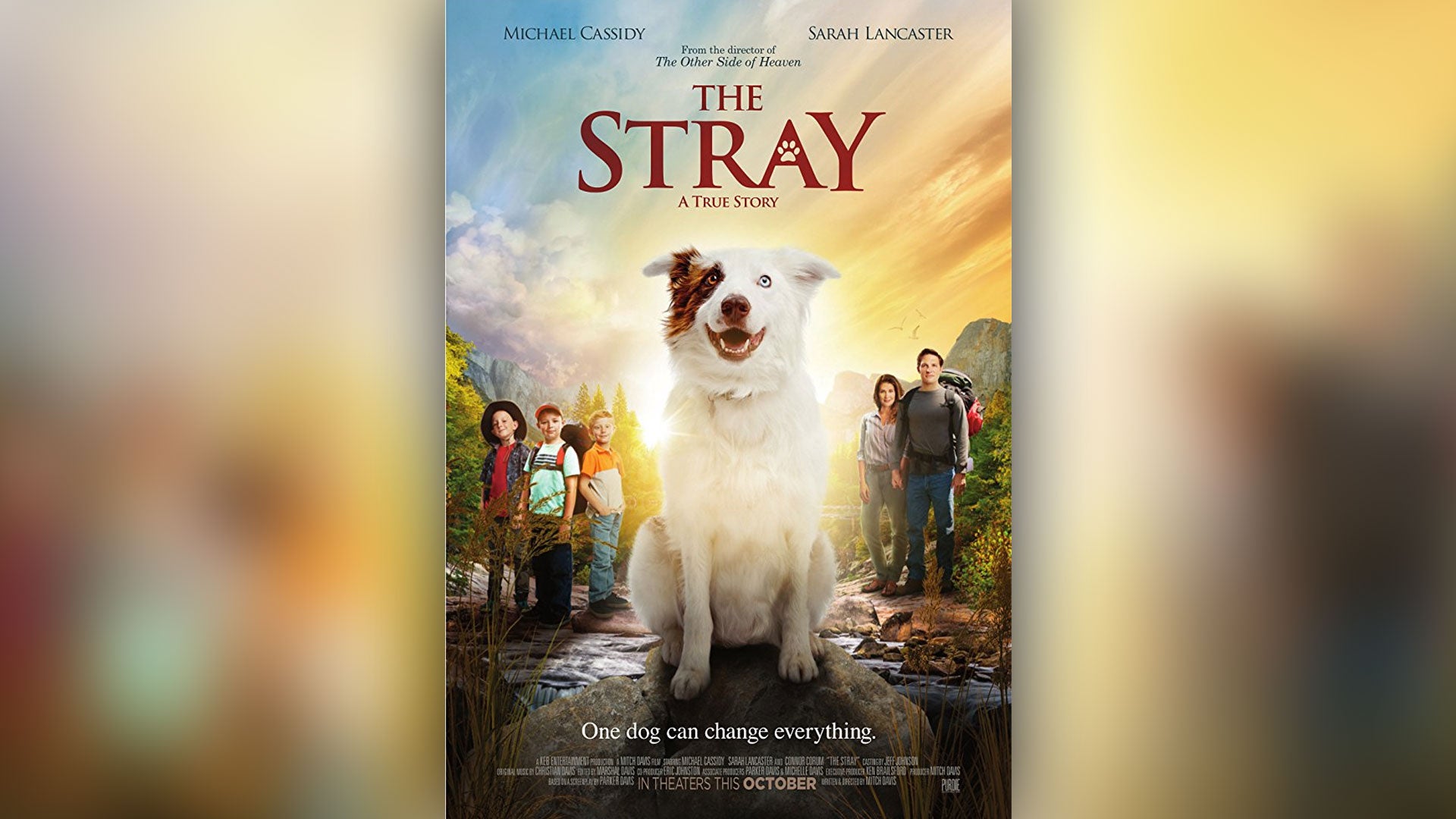 First Look at New Family Friendly Film 'The Stray' | CBN News